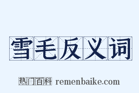 雪毛反义词是什么意思的图片